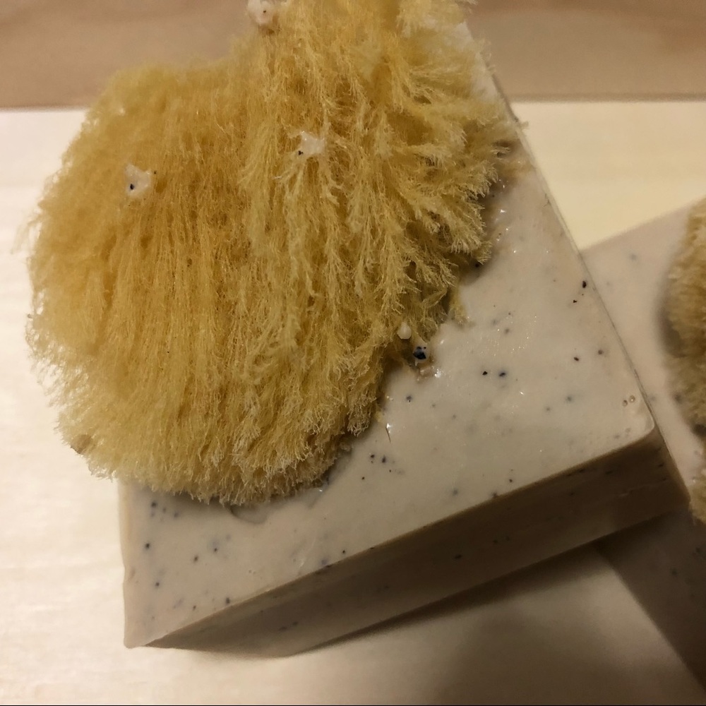 Coffee Homemade Goat Milk Soap with Sea sponge
